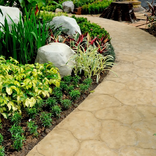An assortment of greenery is planted in a flowerbed that follows the curve of a stone path in a garden.