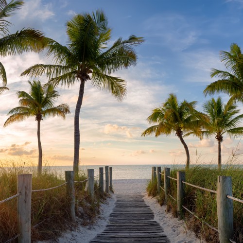 A beautiful view of a sunset and sandy shores in Florida, with a bridge surrounded by palms and beach grass.