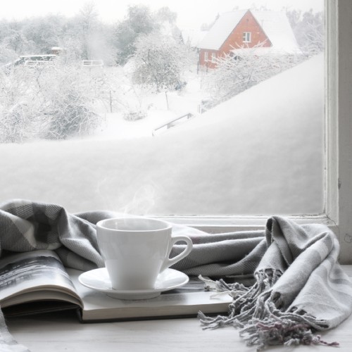 A gray scarf sits on top of the window sill, next to a white cup, overlooking a scene of winter outdoors.